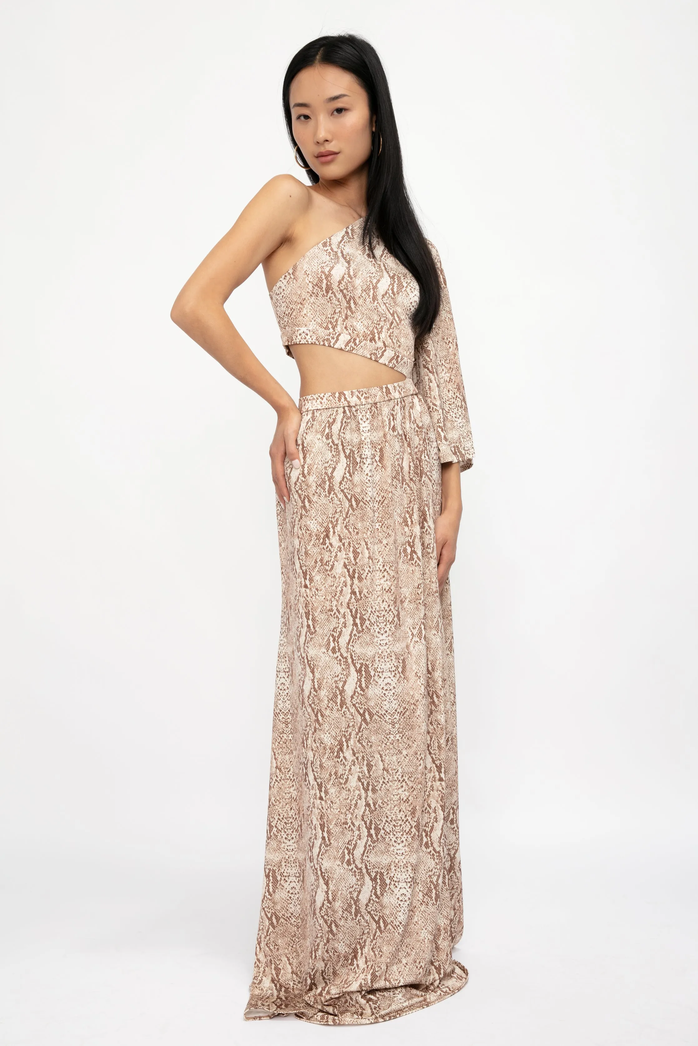 Fontana One Shoulder Dress in Neutral Multi Cobra