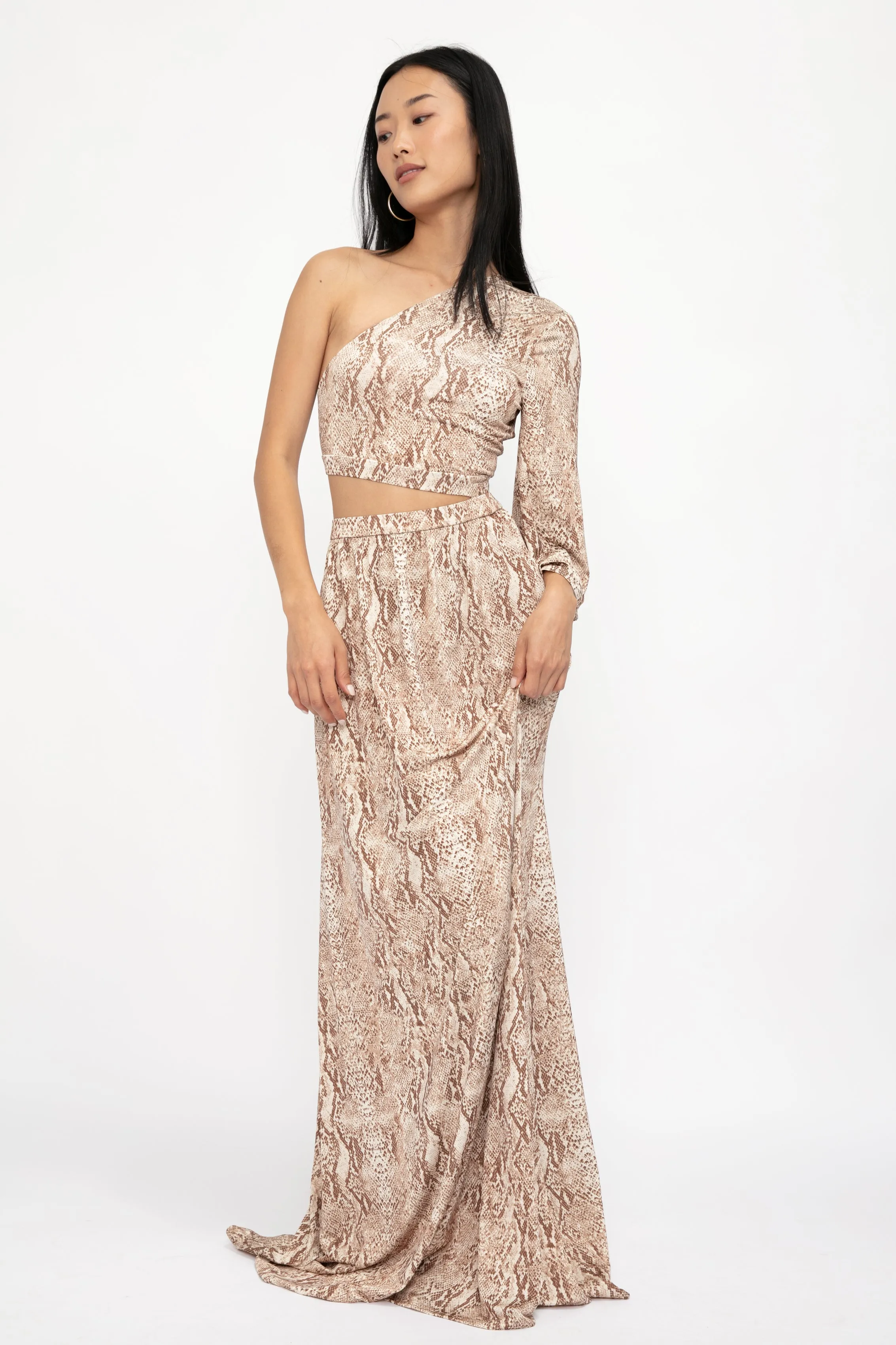 Fontana One Shoulder Dress in Neutral Multi Cobra