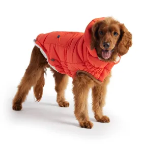 The Puff Parka - Orange: Cozy Warmth for Stylish Dogs