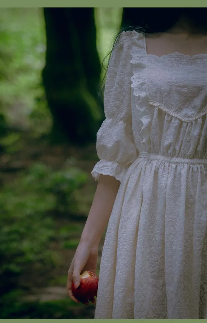 Victorian Style Embroidery Chemise Dress